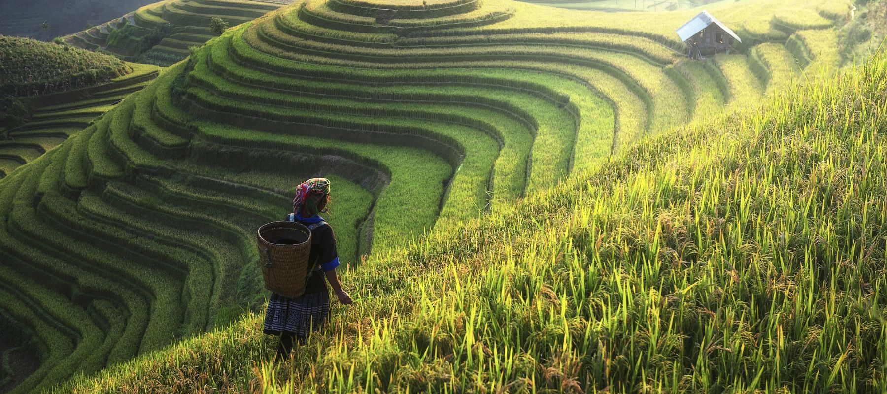 Vietnam Adventure